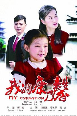 我的康乃馨 