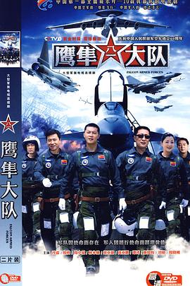 鹰隼大队 
