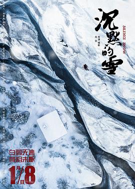 沉默的雪 