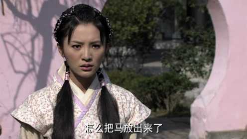 鱼美人 