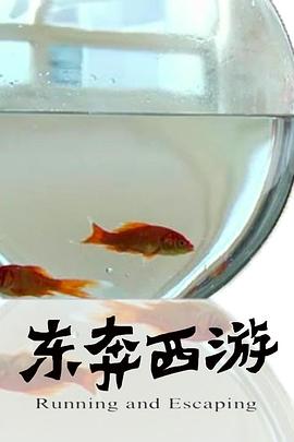 11度青春之《东奔西游》 