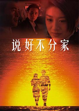 说好不分家 