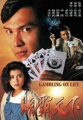 赌霸天下国语1993 