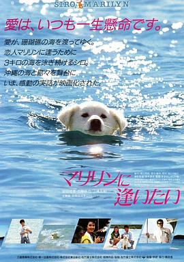 想见玛丽琳 