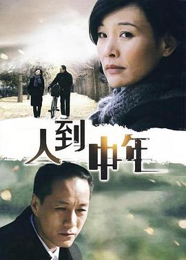 人到中年2009 