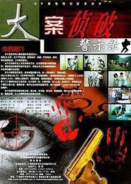 大案侦破警示录 