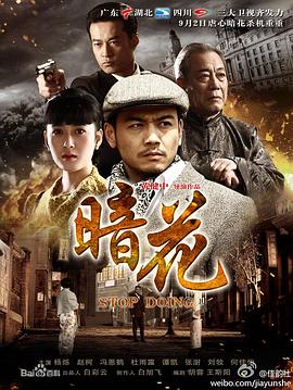 暗花2012 