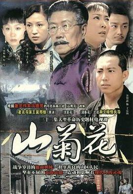 山菊花2007 