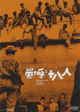 风暴时代 