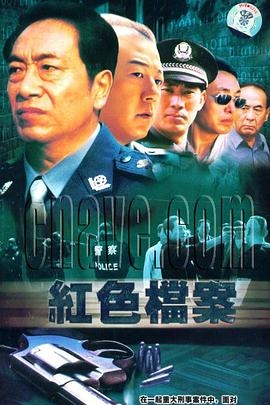 8.13重案组 