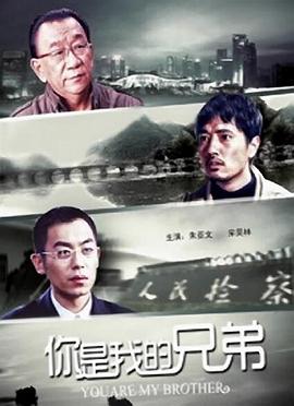 你是我的兄弟 