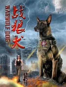 战狼犬 