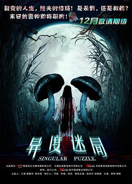 异度迷局 