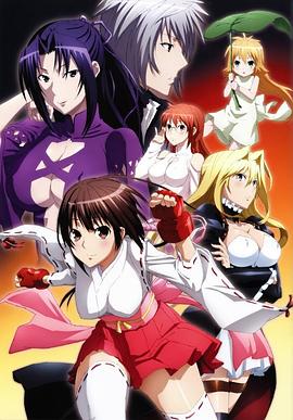 鹡鸰女神第二季 