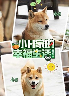 小H一家 