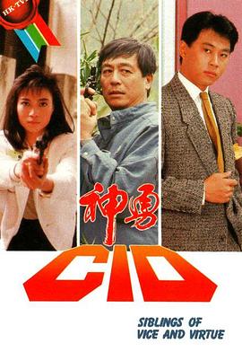神勇CID 