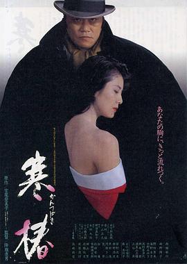 寒椿 
