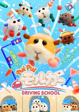 天竺鼠车车,学车篇 